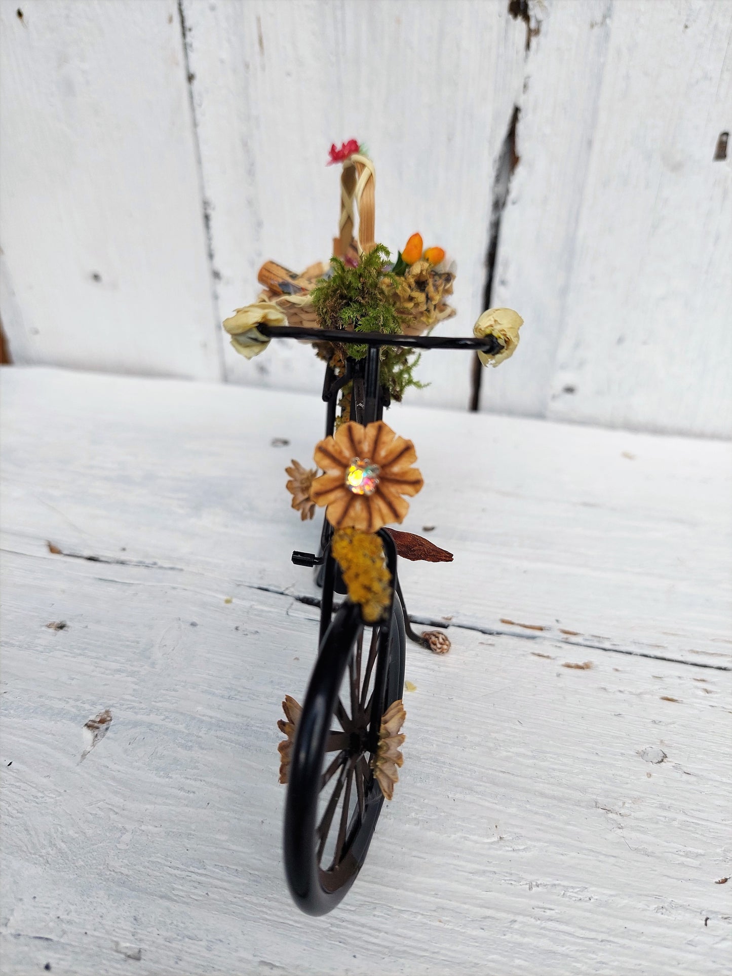 Fairy bicycle